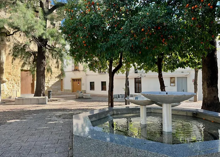 El Rincon Del Pintor