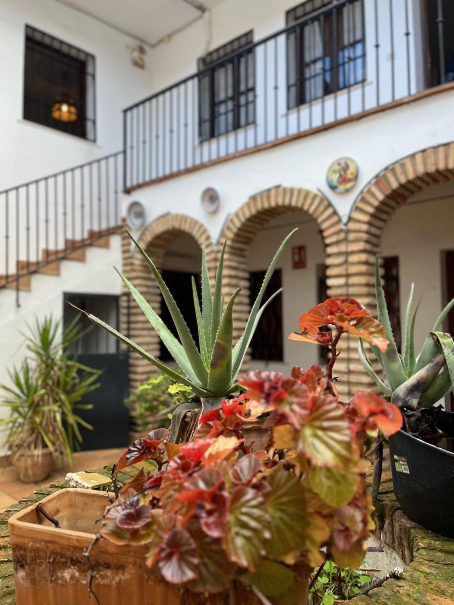 El Rincon Del Pintor